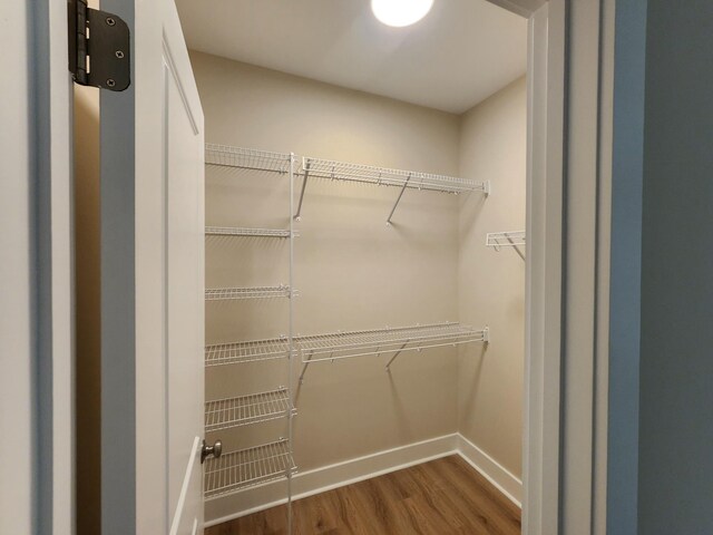 1207 Albert Storm Ave, Moncks Corner, SC 29461 - spacious closet featuring wood finished floors