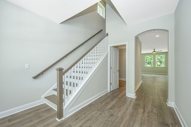 staircase featuring wood-type flooring