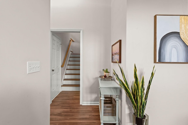 stairway with hardwood / wood-style flooring