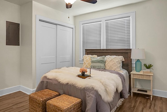 bedroom with electric panel, baseboards, wood finished floors, and a closet