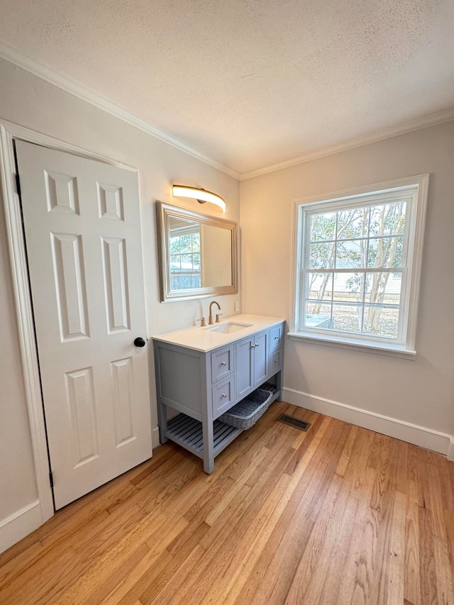 bathroom with vanity, plenty of natural light, wood-type flooring, and crown molding