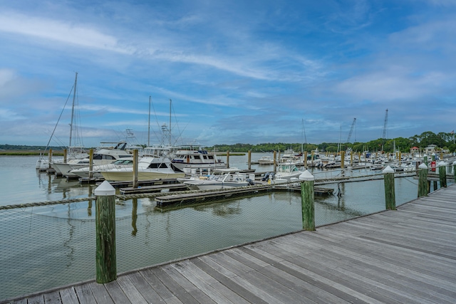 dock area with a water view