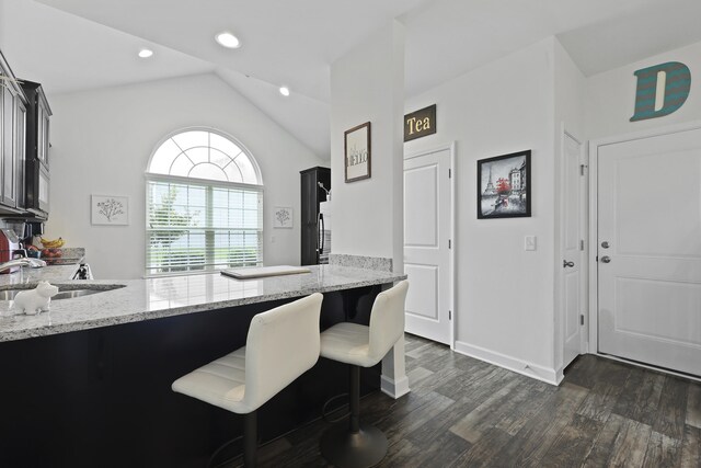 192 Buchanan Cir, Goose Creek, SC 29445 - kitchen featuring lofted ceiling, dark wood finished floors, light stone countertops, a peninsula, and recessed lighting
