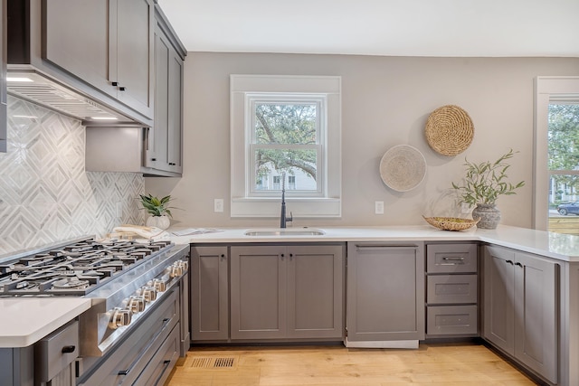 kitchen with gray cabinetry, a wealth of natural light, sink, and light hardwood / wood-style floors