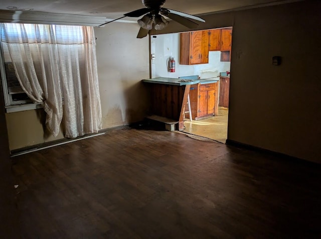 kitchen with ceiling fan and dark hardwood / wood-style flooring