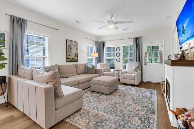 3789 Tupelo Branch Row, Mount Pleasant, SC 29429 - living room featuring wood finished floors and healthy amount of natural light