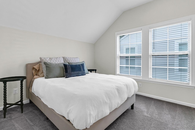 3789 Tupelo Branch Row, Mount Pleasant, SC 29429 - bedroom featuring carpet and vaulted ceiling