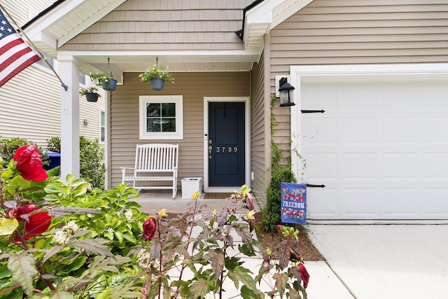 3789 Tupelo Branch Row, Mount Pleasant, SC 29429 - entrance to property featuring a porch and an attached garage