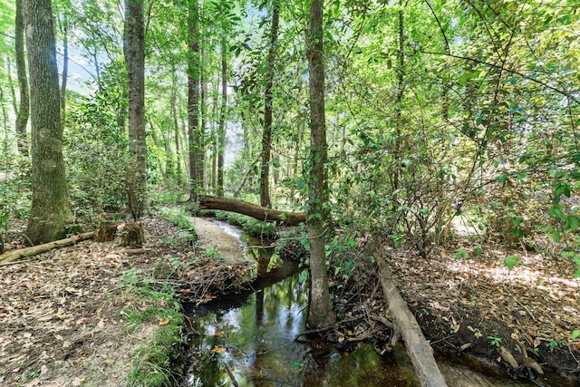 view of local wilderness