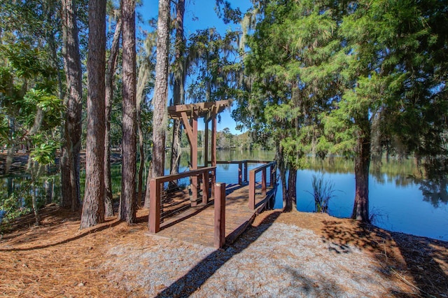 dock area featuring a water view