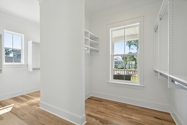 walk in closet with wood finished floors