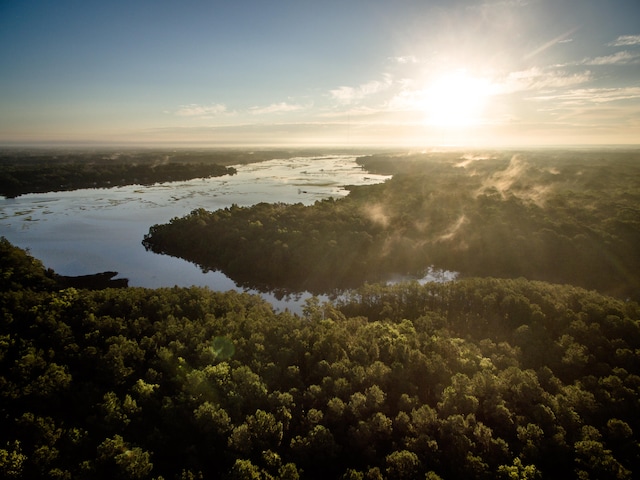 water view with a view of trees