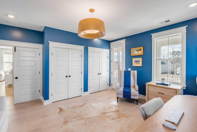 interior space featuring light hardwood / wood-style floors and a healthy amount of sunlight