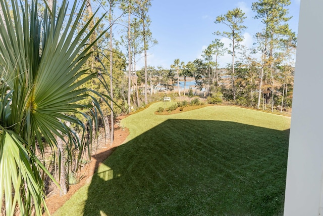 view of yard with a water view