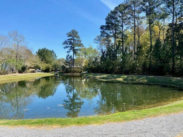3203 Moonlight Dr, Charleston, SC 29414 - water view