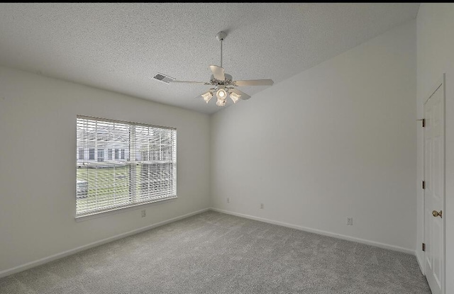 159 Townsend Way, Summerville, SC 29483 - spare room featuring light colored carpet, ceiling fan, and a textured ceiling