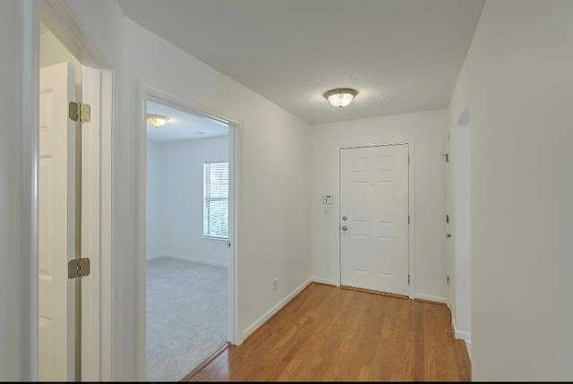 159 Townsend Way, Summerville, SC 29483 - hallway with light wood-style floors and a textured ceiling