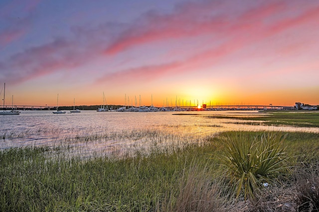 33 Lockwood Dr Unit Lu105, Charleston, SC 29401 - water view