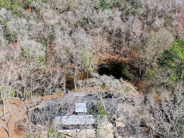 view of nature featuring a forest view