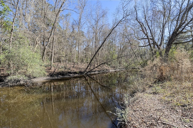 water view featuring a view of trees