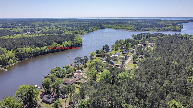 1112 Gin Pond Dr, Summerton, SC 29148 - drone / aerial view with a water view and a forest view
