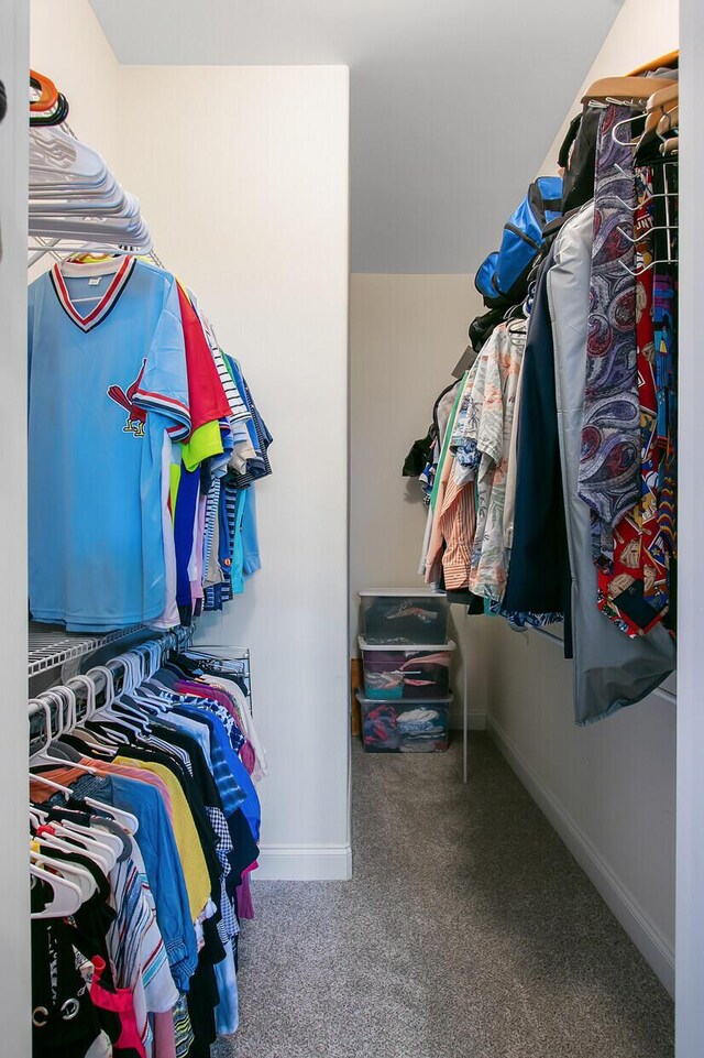 3801 Canary Ct, North Charleston, SC 29420 - walk in closet with carpet floors