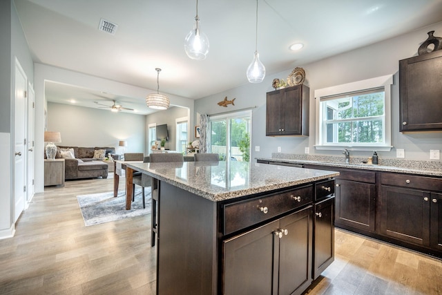 141 Pine Crest View Dr, Summerville, SC 29486 - kitchen featuring light wood-style flooring, plenty of natural light, dark brown cabinets, open floor plan, and recessed lighting