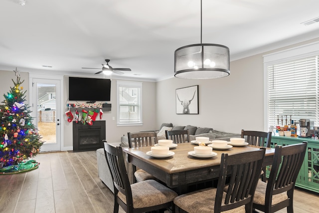 dining area featuring light hardwood / wood-style flooring, ceiling fan, and ornamental molding