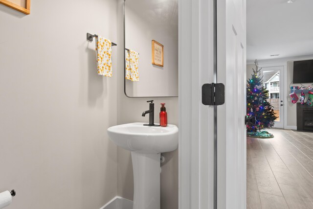 bathroom with hardwood / wood-style floors