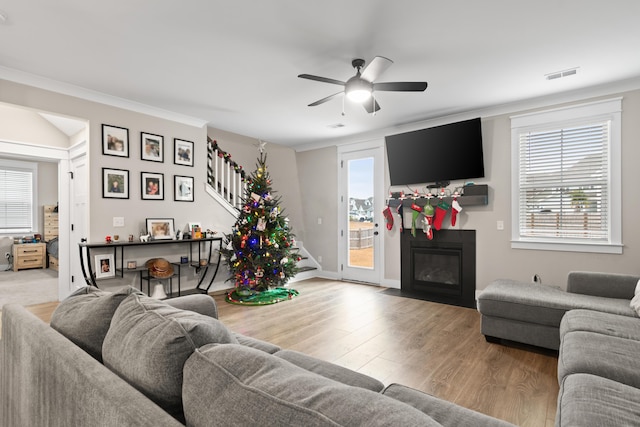 living room with wood-type flooring and ceiling fan