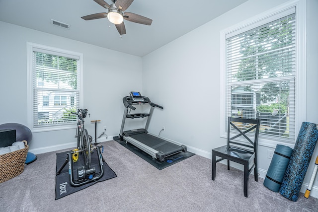 2234 Mother Of Pearl Dr, Mount Pleasant, SC 29466 - workout area with carpet floors, ceiling fan, and baseboards
