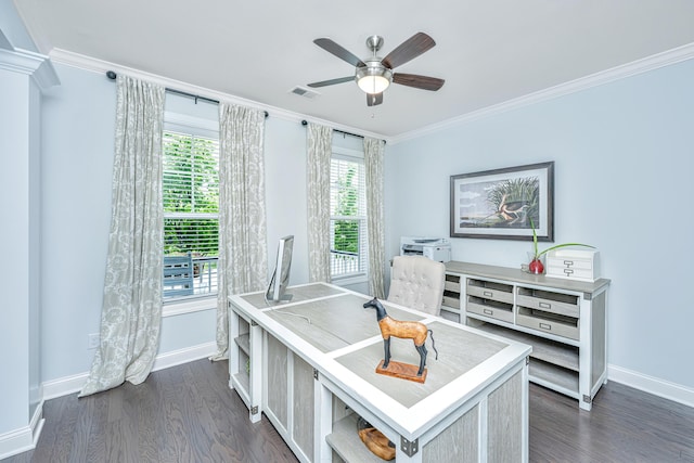 2234 Mother Of Pearl Dr, Mount Pleasant, SC 29466 - home office featuring crown molding, baseboards, plenty of natural light, and a ceiling fan
