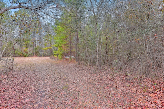 Listing photo 3 for 9470 Old State Rd, Holly Hill SC 29059