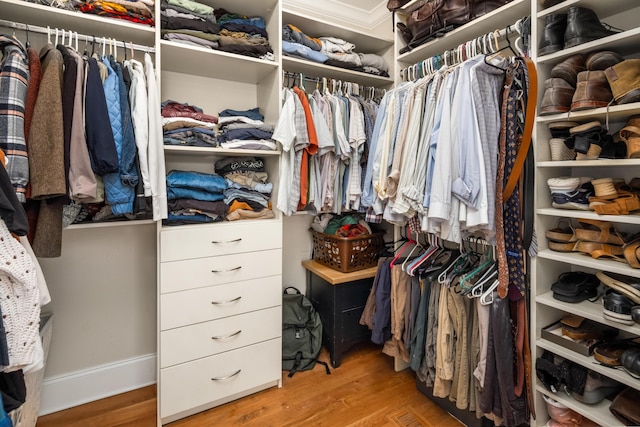 1543 Wando Landing St, Charleston, SC 29492 - walk in closet with wood finished floors