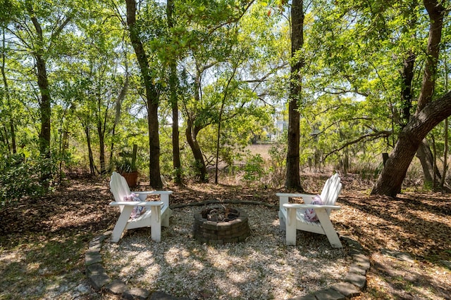 1543 Wando Landing St, Charleston, SC 29492 - view of yard featuring a fire pit