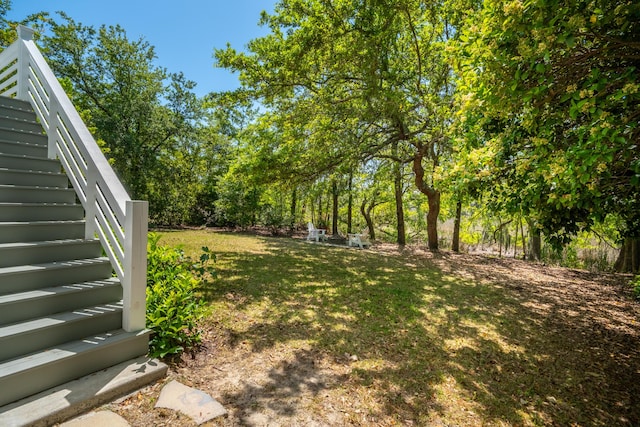 1543 Wando Landing St, Charleston, SC 29492 - view of grassy yard with stairs