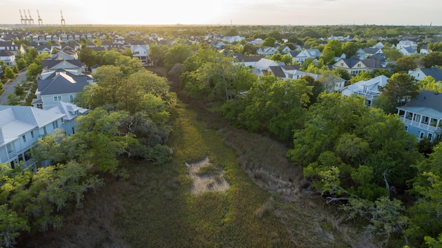 1543 Wando Landing St, Charleston, SC 29492 - aerial perspective of suburban area