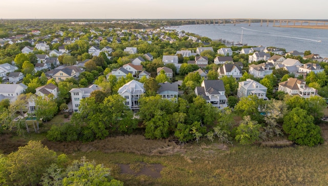 1543 Wando Landing St, Charleston, SC 29492 - aerial view of residential area with a nearby body of water