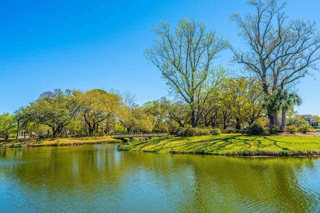 1543 Wando Landing St, Charleston, SC 29492 - water view