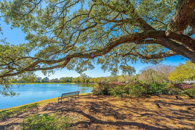 1543 Wando Landing St, Charleston, SC 29492 - water view