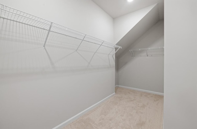 459 White Magnolia St, Moncks Corner, SC 29461 - spacious closet featuring carpet