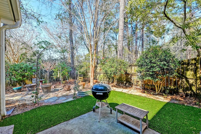 view of yard featuring a patio area and a fenced backyard