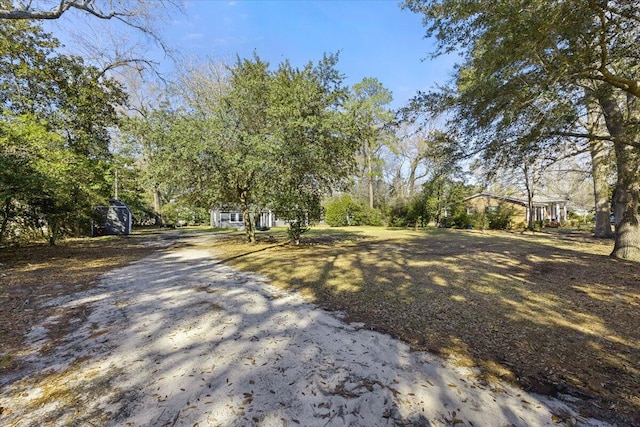 view of street with driveway