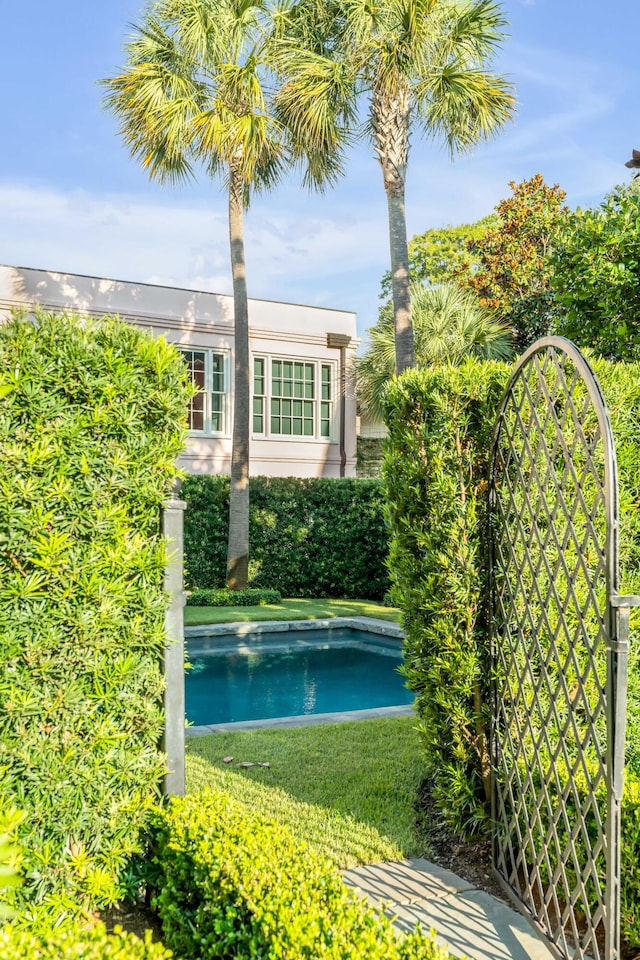 view of swimming pool featuring a yard