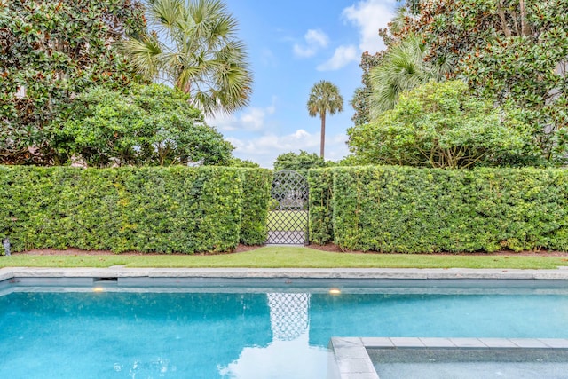 view of swimming pool