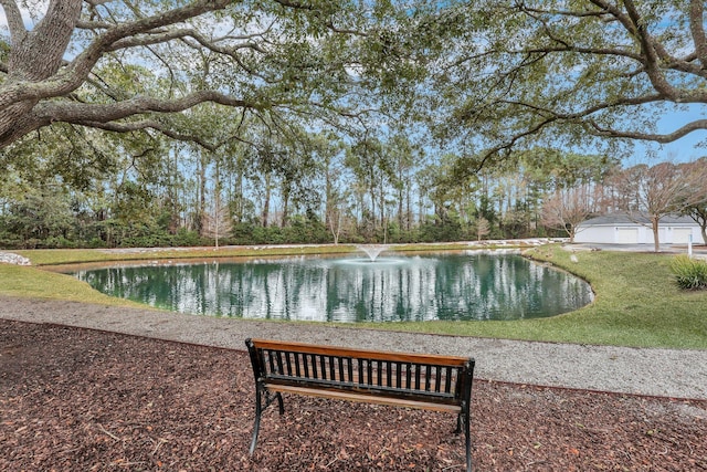 view of community with a water view and a yard