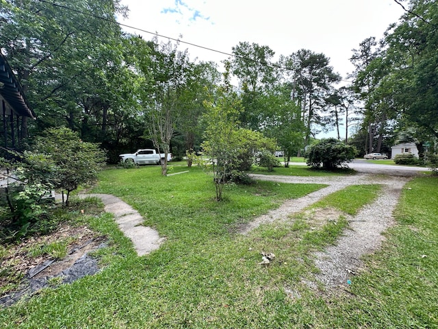 1640 Dogwood Rd, Charleston, SC 29414 - view of grassy yard