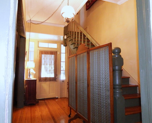 interior space featuring hardwood / wood-style floors and crown molding