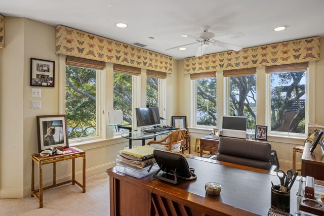 office with ceiling fan