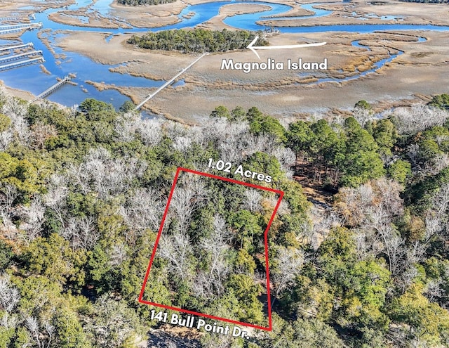 141 Bull Point Dr, Seabrook SC, 29940 land for sale